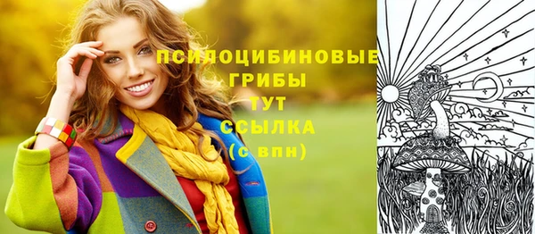 ГАЛЛЮЦИНОГЕННЫЕ ГРИБЫ Дмитров