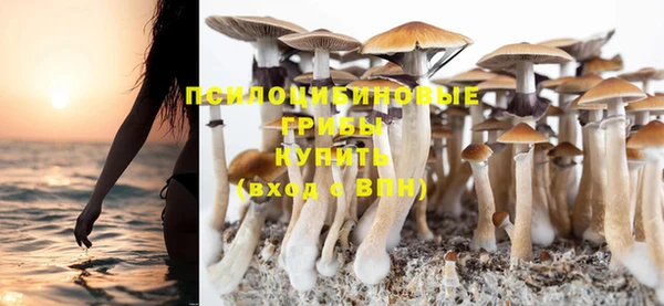 ГАЛЛЮЦИНОГЕННЫЕ ГРИБЫ Дмитров